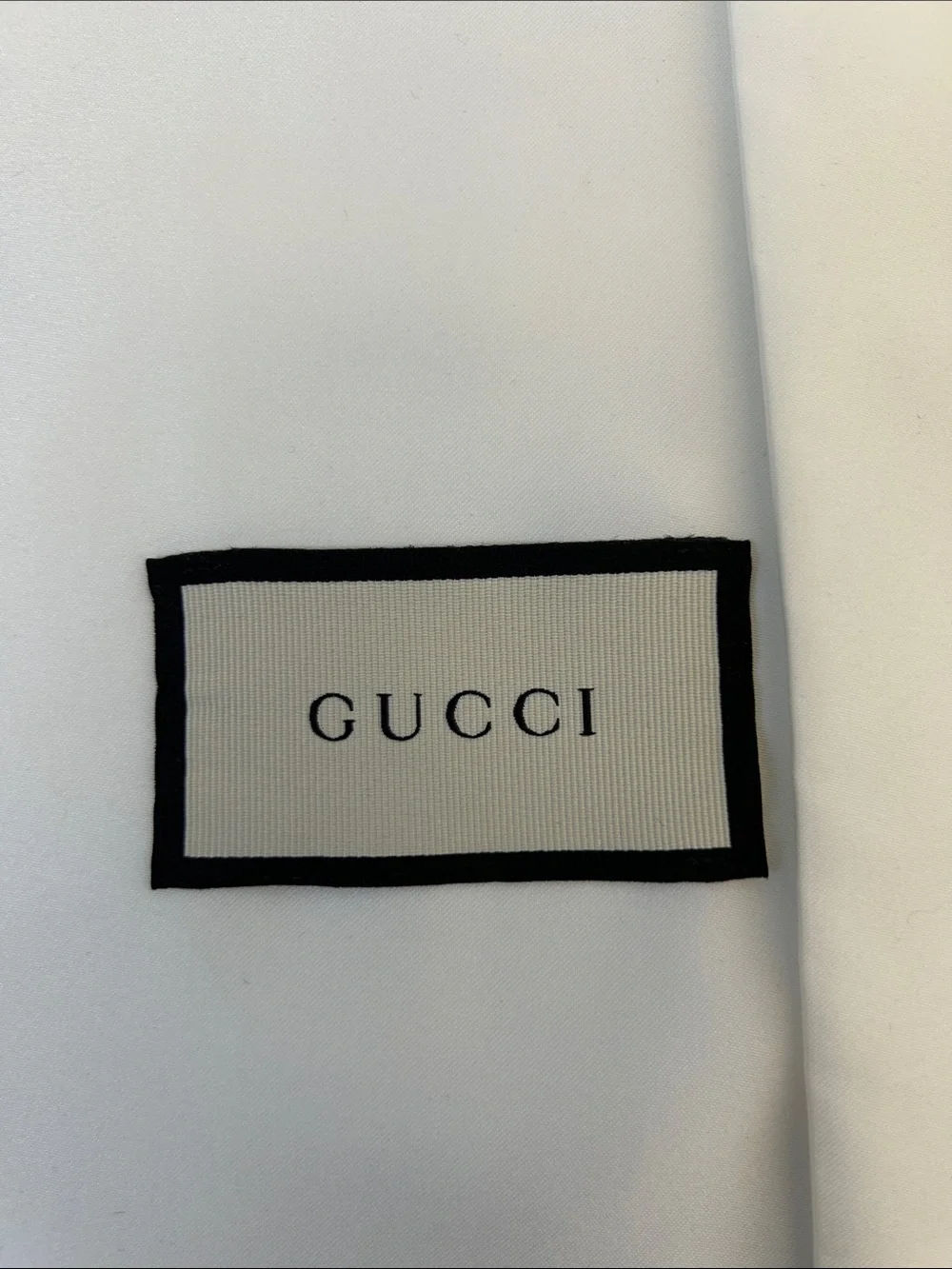 Gucci pair dust